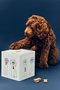 HAY DOGS FOOD STORAGE TIN L ヘイ/HAY