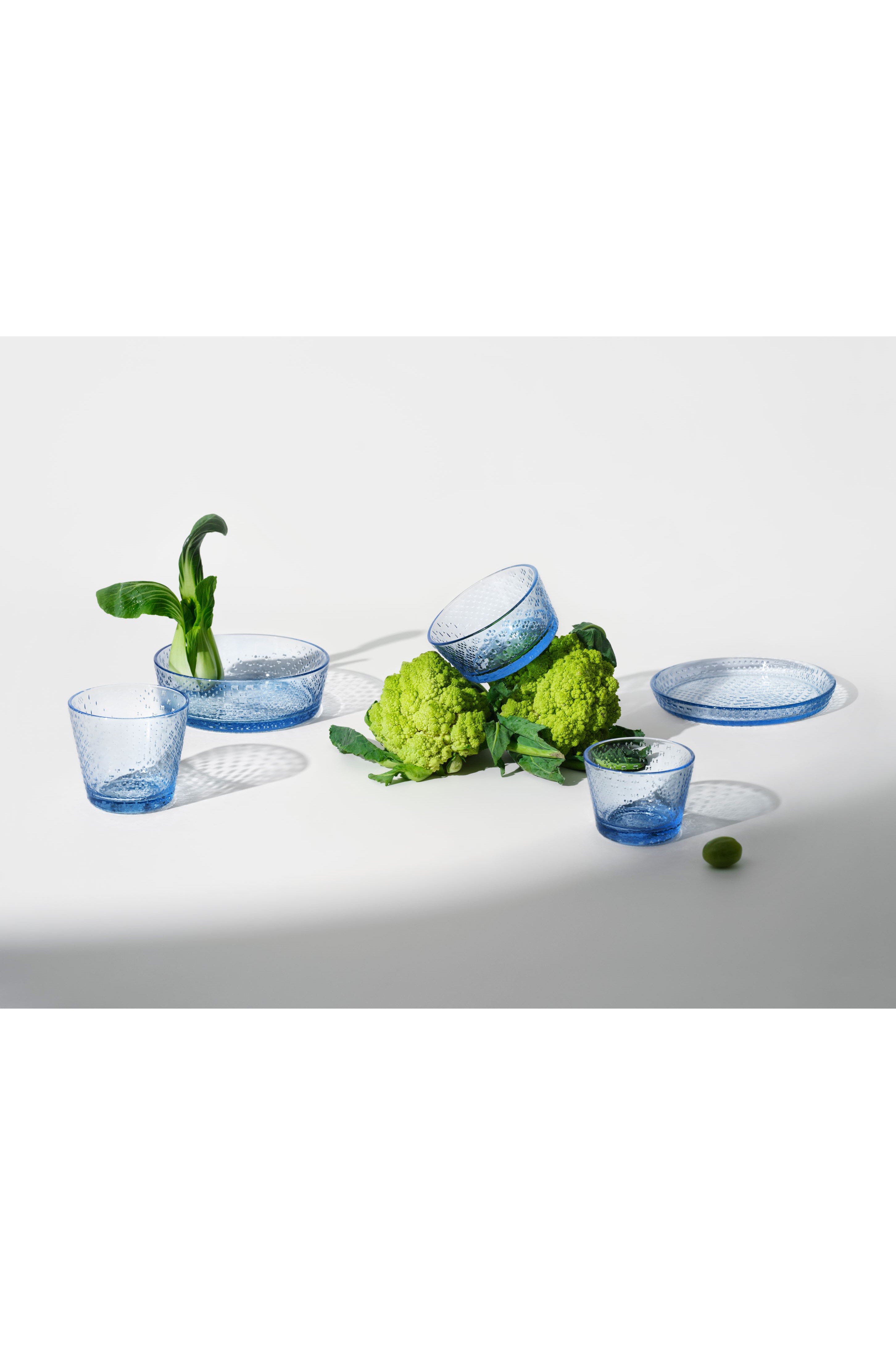 IITTALA(イッタラ)｜ツンドラタンブラー 290ml/アクア の通販