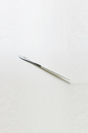 センプレ/SEMPREの【Cutipol】GOAディナーナイフ(510100/510104)