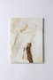 【予約販売】【KAZUKI】Living Art/ XXX エル・デコ インテリア・アート/ELLE DECOR Interior Art -