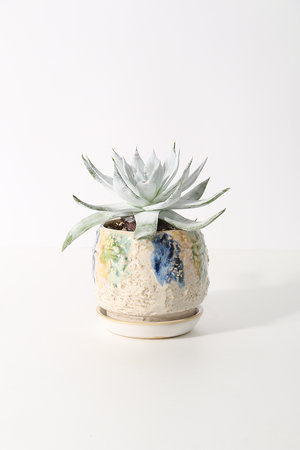 ダドレア・ブリトニー「仙女盃」