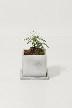 ザ ファーム ユニバーサル/the Farm UNIVERSALのビオフィツム