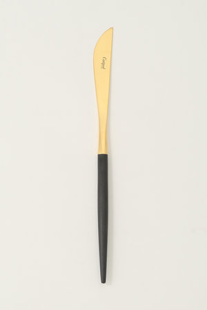 クチポール/CutipolのGOA テーブルナイフ(510100/510104)