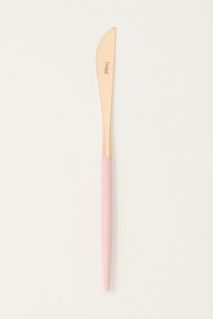 クチポール/CutipolのGOA テーブルナイフ(510100/510104)