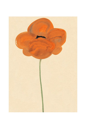 ペーパーコレクティブ/PAPER COLLECTIVEのOrange Vallmo【メーカー取り寄せ】(510500/510501)