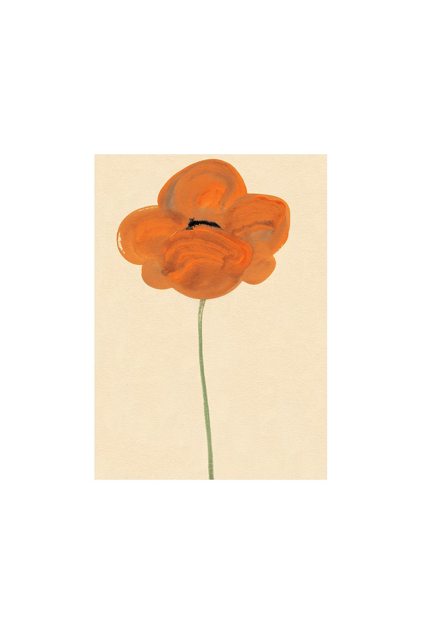 ペーパーコレクティブ/PAPER COLLECTIVEのOrange Vallmo【メーカー取り寄せ】(30×40cm/19087)