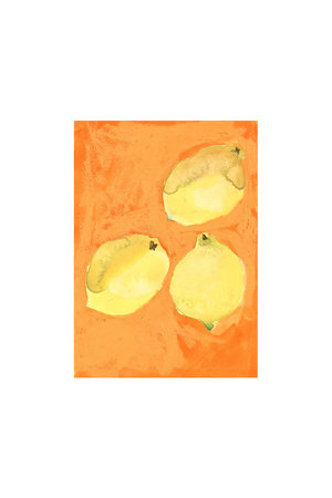 ペーパーコレクティブ/PAPER COLLECTIVEのLemons【メーカー取り寄せ】(510500/510501)