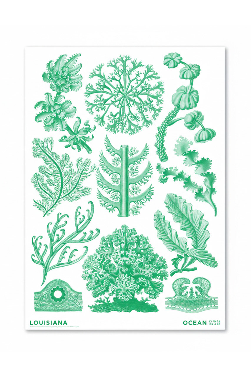 ルイジアナ近代美術館/LOUISIANA MUSEUM OF MODERN ARTの【ポスター】ヘッケル／Florideae Ocean green (2024)【メーカー取り寄せ】(-/115726)