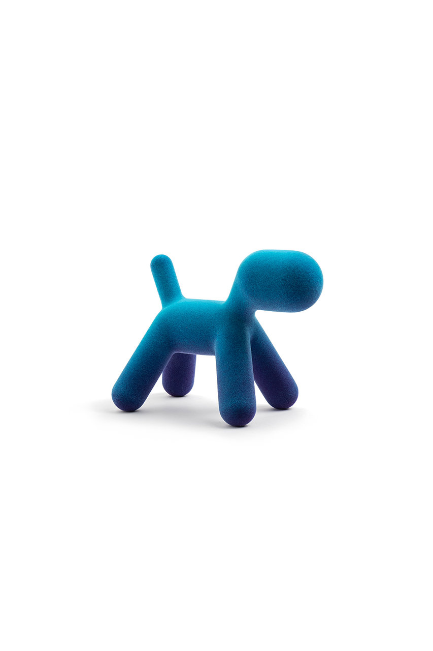 マジス/MAGISのパピー XS グラデーション【メーカー取り寄せ】(ターコイズ・ヴァイオレット/MT460)