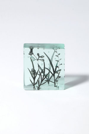 マツヤマ ミエ/Mie MatsuyamaのBotanical Cube ヒメヨモギの季節(510500/510503)