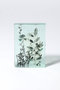 Botanical Cube Wild Flowers マツヤマ ミエ/Mie Matsuyama -