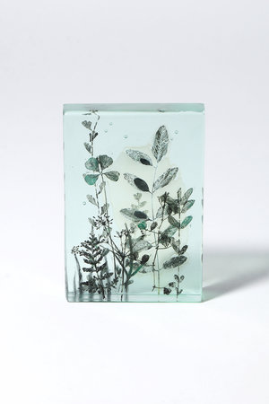 マツヤマ ミエ/Mie MatsuyamaのBotanical Cube Wild Flowers(510500/510503)