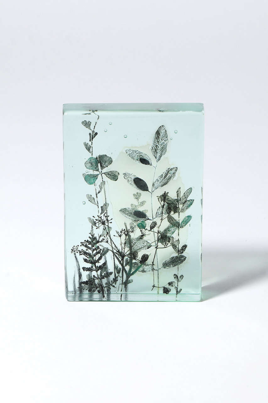 マツヤマ ミエ/Mie MatsuyamaのBotanical Cube Wild Flowers(-/2)