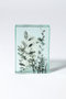 Botanical Cube Wild Flowers マツヤマ ミエ/Mie Matsuyama