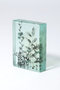 Botanical Cube Wild Flowers マツヤマ ミエ/Mie Matsuyama