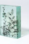 Botanical Cube Wild Flowers マツヤマ ミエ/Mie Matsuyama