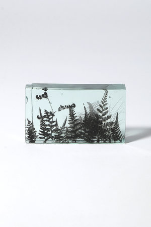 マツヤマ ミエ/Mie MatsuyamaのBotanical Cube シダの庭 I(510500/510503)