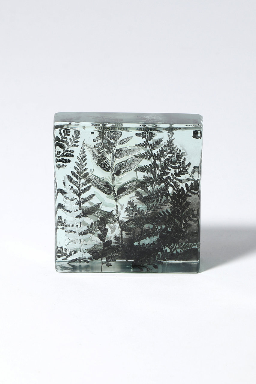 マツヤマ ミエ/Mie MatsuyamaのBotanical Cube シダの庭 II(-/4)