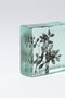 Botanical Cube 早春のカラスノエンドウ マツヤマ ミエ/Mie Matsuyama