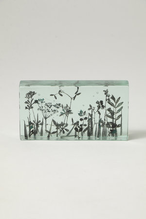 マツヤマ ミエ/Mie MatsuyamaのBotanical Cube Micro Garden