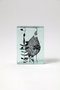 Botanical Cube Wild Flowers マツヤマ ミエ/Mie Matsuyama -