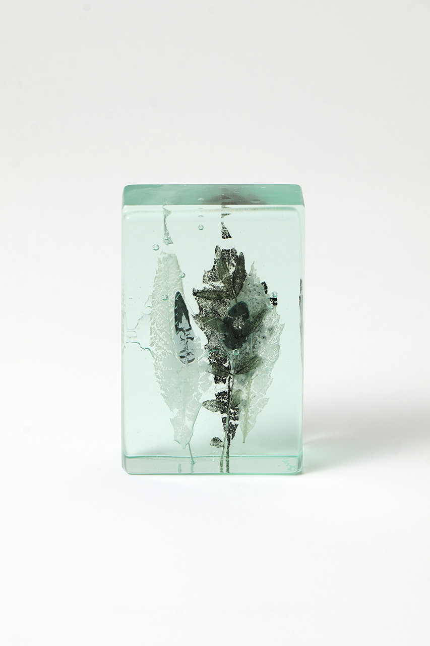 マツヤマ ミエ/Mie MatsuyamaのBotanical Cube 銀の森(-/19)