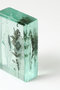 Botanical Cube 銀の森 マツヤマ ミエ/Mie Matsuyama