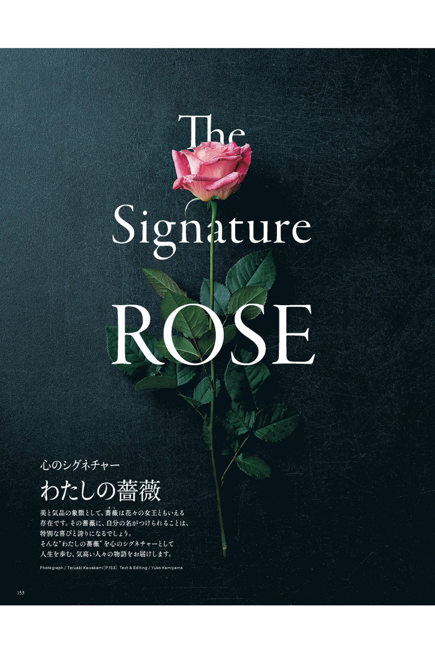 ハースト婦人画報社(ハーストフジンガホウシャ)｜【送料無料】Richesse